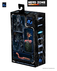 PRE ORDINE - NECA Aliens Ultimate Action Figure Warrior (1986) Xenomorph Black (40th Anniversary) 23 cm