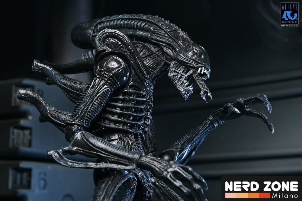PRE ORDINE - NECA Aliens Ultimate Action Figure Warrior (1986) Xenomorph Black (40th Anniversary) 23 cm