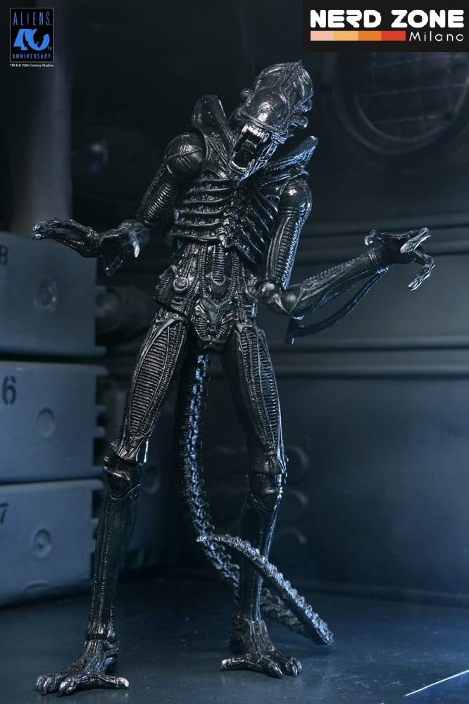 PRE ORDINE - NECA Aliens Ultimate Action Figure Warrior (1986) Xenomorph Black (40th Anniversary) 23 cm