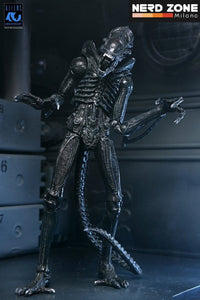 PRE ORDINE - NECA Aliens Ultimate Action Figure Warrior (1986) Xenomorph Black (40th Anniversary) 23 cm