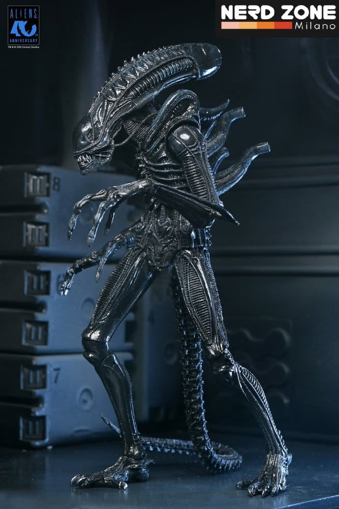 PRE ORDINE - NECA Aliens Ultimate Action Figure Warrior (1986) Xenomorph Black (40th Anniversary) 23 cm