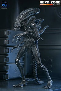 PRE ORDINE - NECA Aliens Ultimate Action Figure Warrior (1986) Xenomorph Black (40th Anniversary) 23 cm