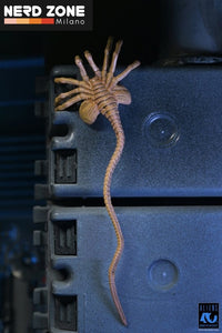 PRE ORDINE - NECA Aliens Ultimate Action Figure Warrior (1986) Xenomorph Black (40th Anniversary) 23 cm