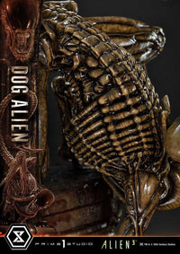 PRIME 1 STUDIO - Alien 3 Museum Masterline Series Statue 1/3 Dog Alien XL Deluxe Version 114 cm