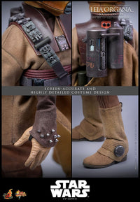 PRE ORDINE - HOT TOYS - Star Wars Episode VI Movie Masterpiece Action Figure 1/6 Leia Organa (Boushh Disguise) 27 cm