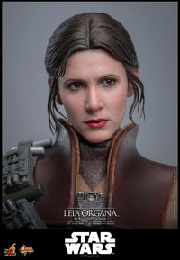 PRE ORDINE - HOT TOYS - Star Wars Episode VI Movie Masterpiece Action Figure 1/6 Leia Organa (Boushh Disguise) 27 cm