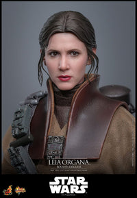 PRE ORDINE - HOT TOYS - Star Wars Episode VI Movie Masterpiece Action Figure 1/6 Leia Organa (Boushh Disguise) 27 cm