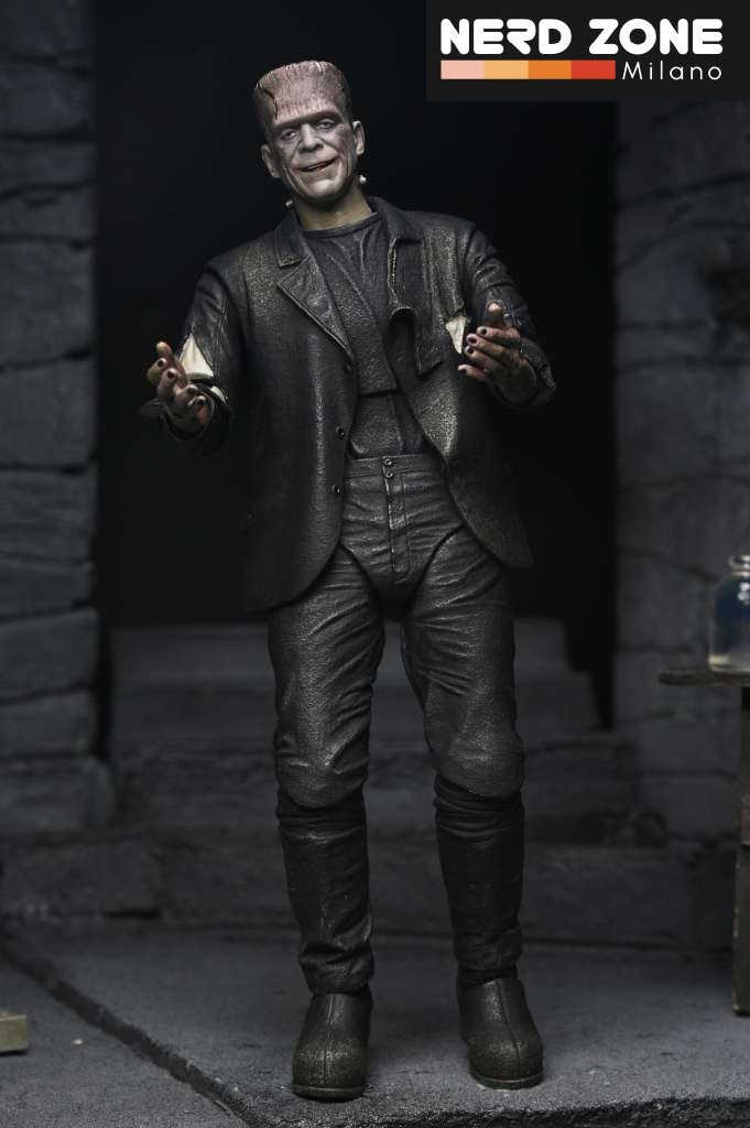 NECA - Um Bride Of Frankenstein 90th Monster & His Mate 2pack Af