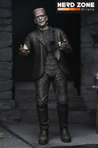 NECA - Um Bride Of Frankenstein 90th Monster & His Mate 2pack Af