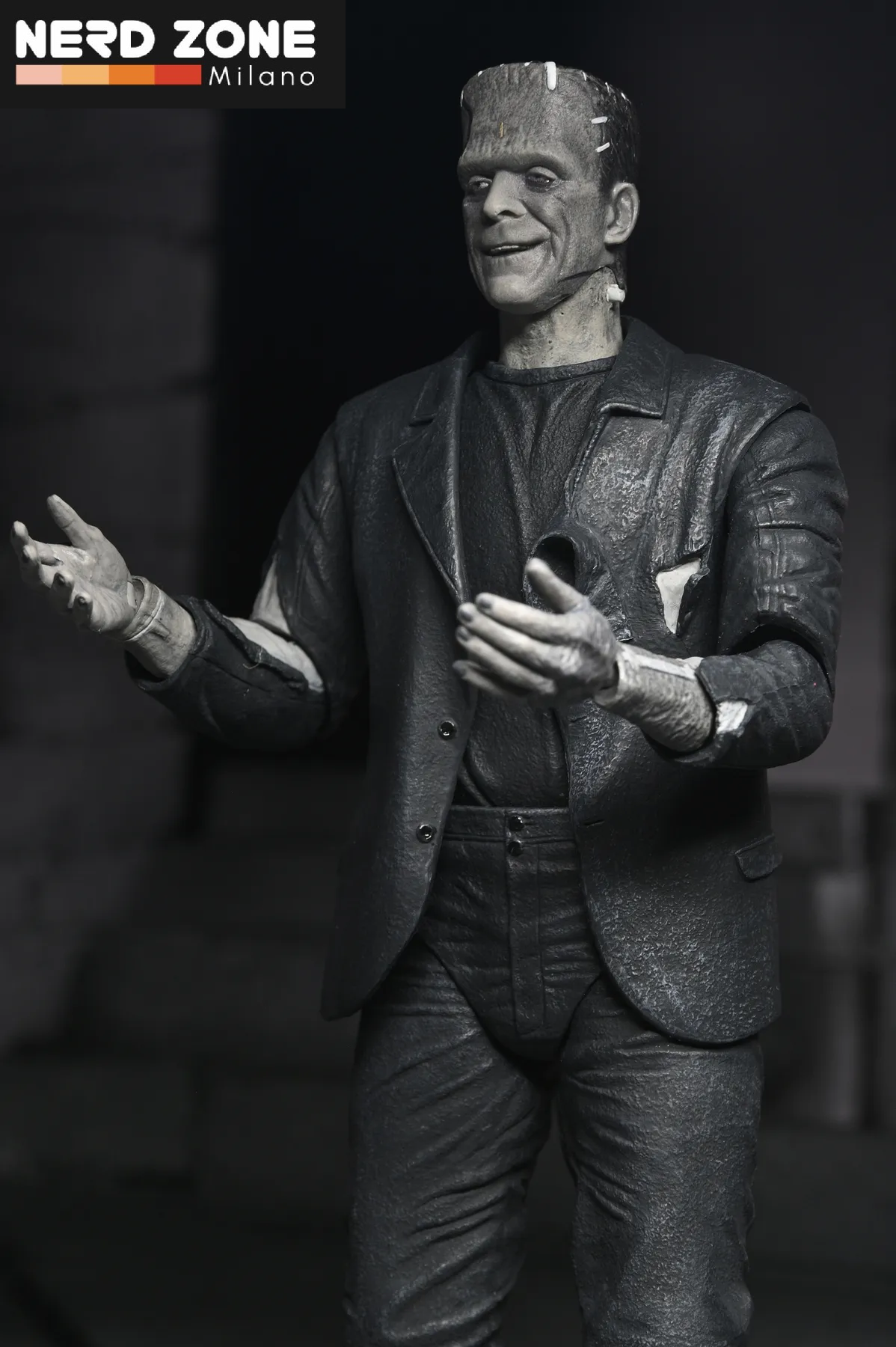 PRE ORDER - NECA - Universal Monsters Bride Of Frankenstein 90th Monster & His Mate B&w 2pack