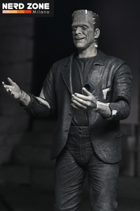 PRE ORDER - NECA - Universal Monsters Bride Of Frankenstein 90th Monster & His Mate B&w 2pack