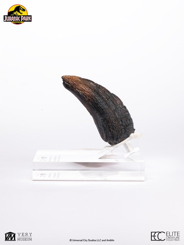 PRE ORDINE - Jurassic Park 1/1 Replica Velociraptor Toenail Type A 11 cm