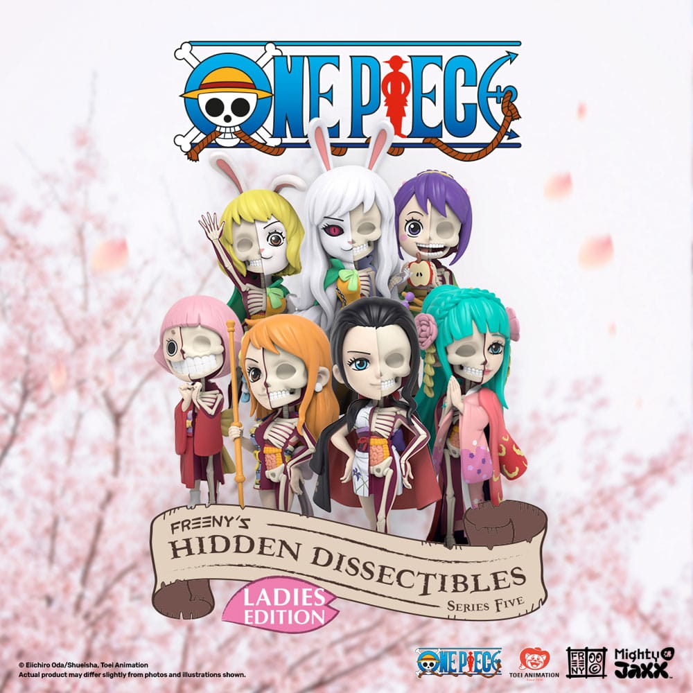 PRE ORDINE - One Piece Blind Box Hidden Dissectibles Series 5 (Ladies ed.) Display (6)