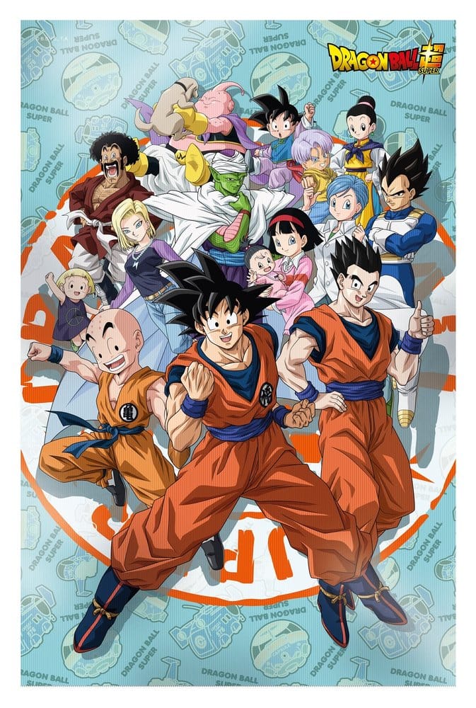 PRE ORDINE - Dragon Ball Super 3D Poster Universe Survival 38 x 58 cm