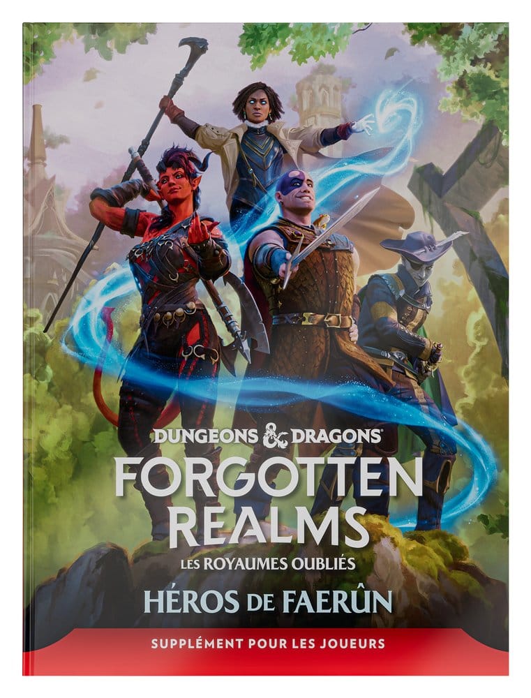 PRE ORDINE - Dungeons & Dragons RPG Forgotten Realms: Héros de Faerun Player Expansion *French Version*